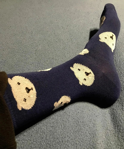 Men's Fiesta Socks - 6 Pairs – Premium Dress Socks for Office & Formal Wear Maroon Menoetius